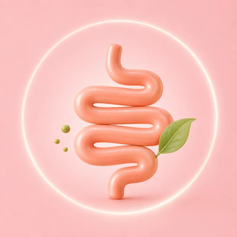 Digestion & transit