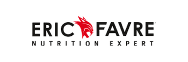 Logo Eric Favre