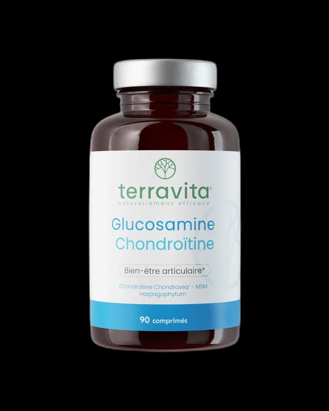 Terravita Glucosamine Chondroïtine MSM