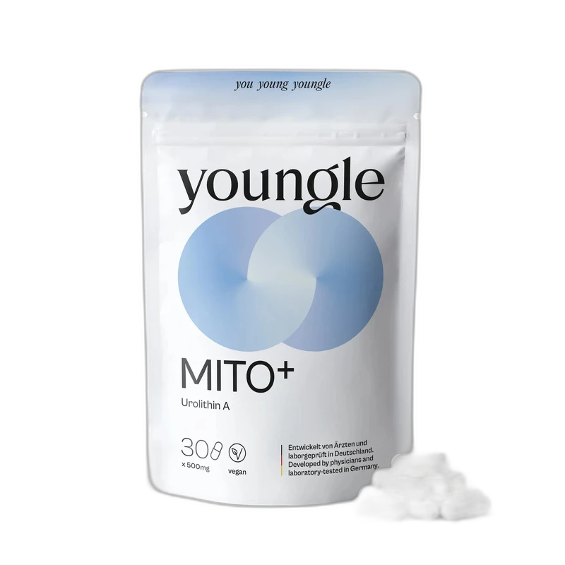 Urolithine A (Mitopure) : mitochondries et muscle, que dit la science ?